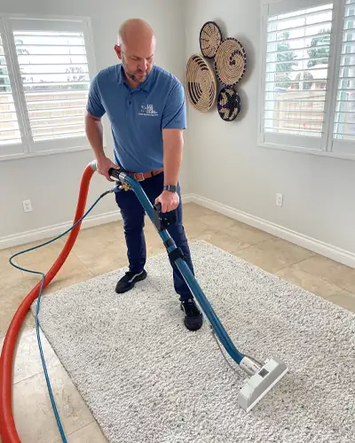 Rug Cleaning La Jolla CA 5 Rug Cleaning Services in California