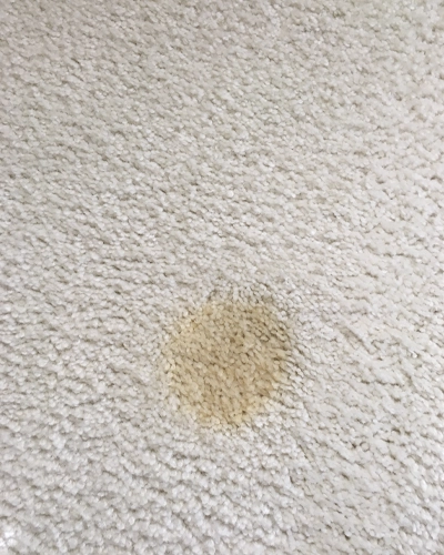 Stain Removal Oceanside CA 1 Spot and stain removal services highlight