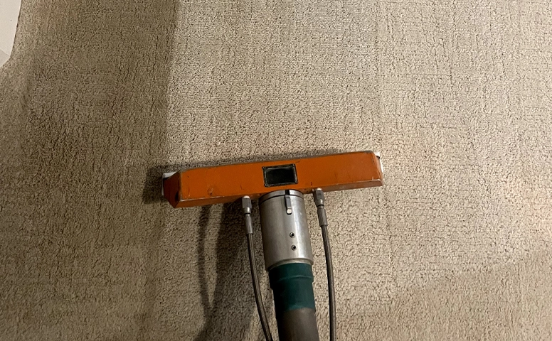 Carpet Cleaning 14 carpet cleaning services california san diego
