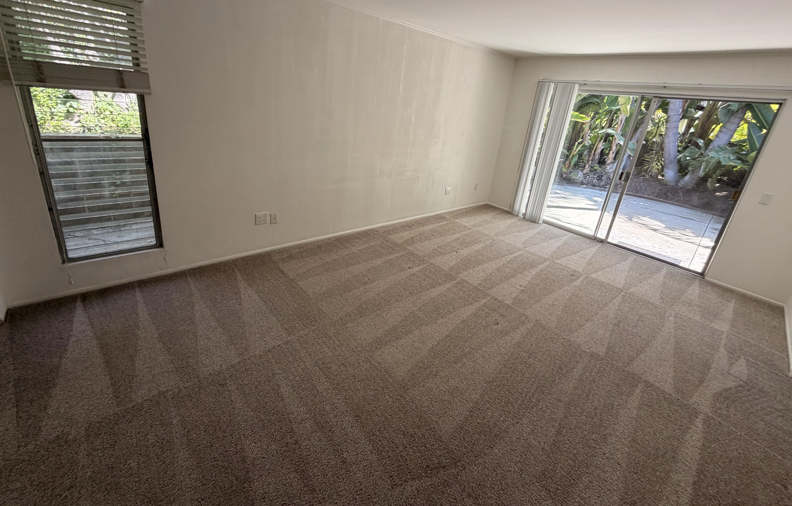 floor and capret cleaning services san diego california local floor cleaner